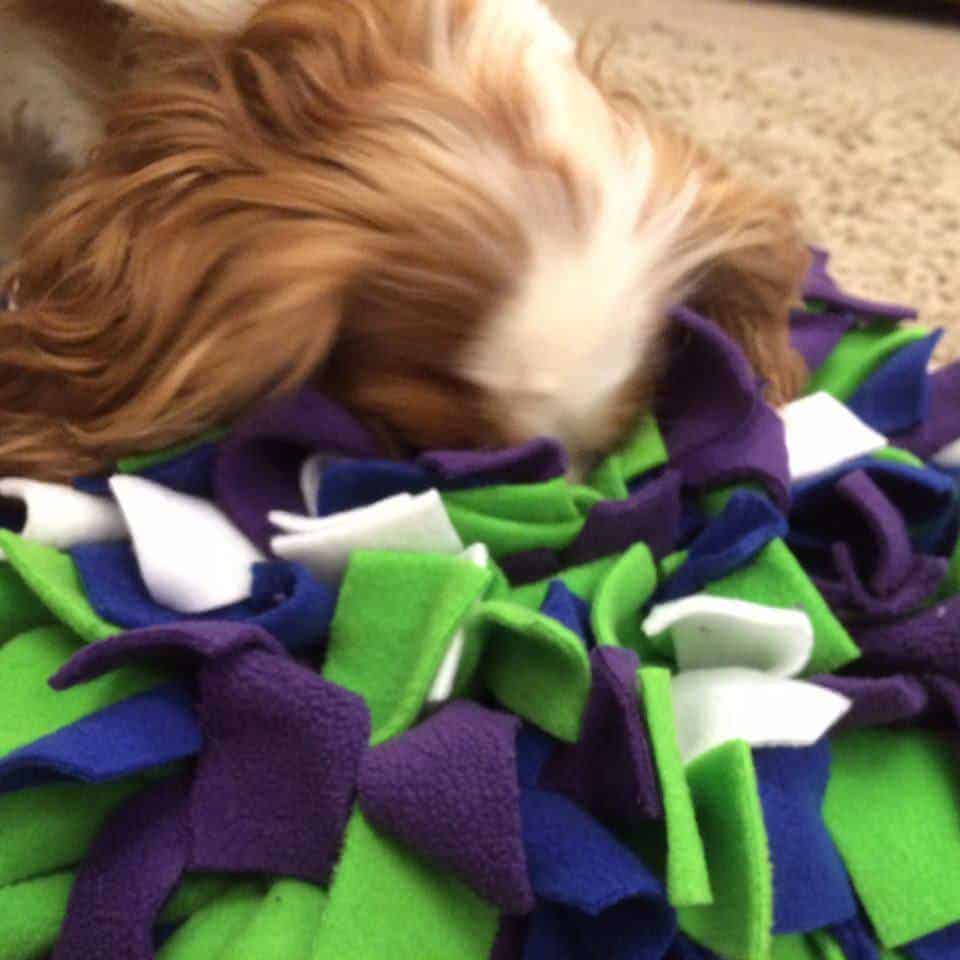 Dogs love their Ruffle Snuffle rug