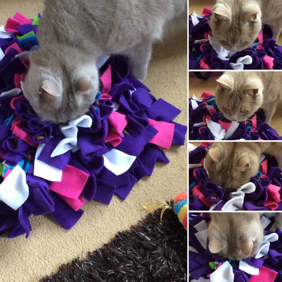 Snufflemat for cats? • Ruffle Snuffle