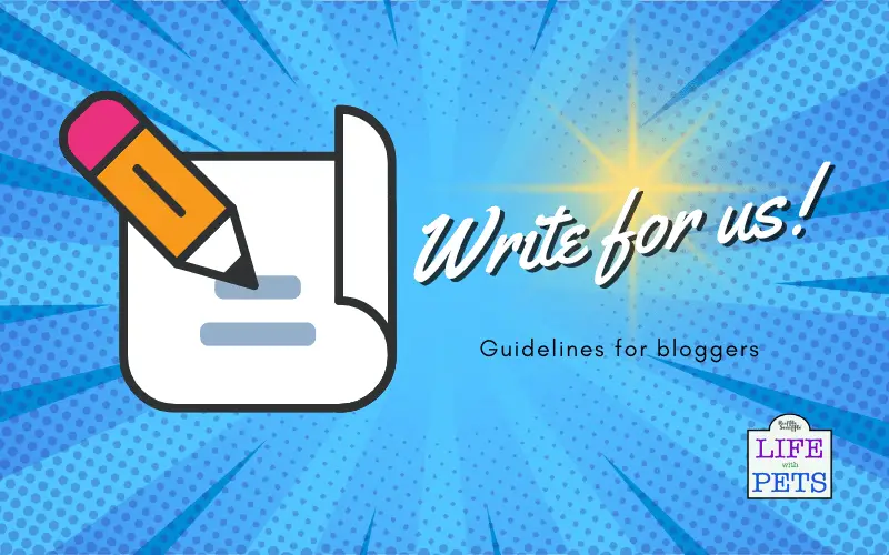 write for us pet blog