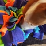 How to use a snuffle mat