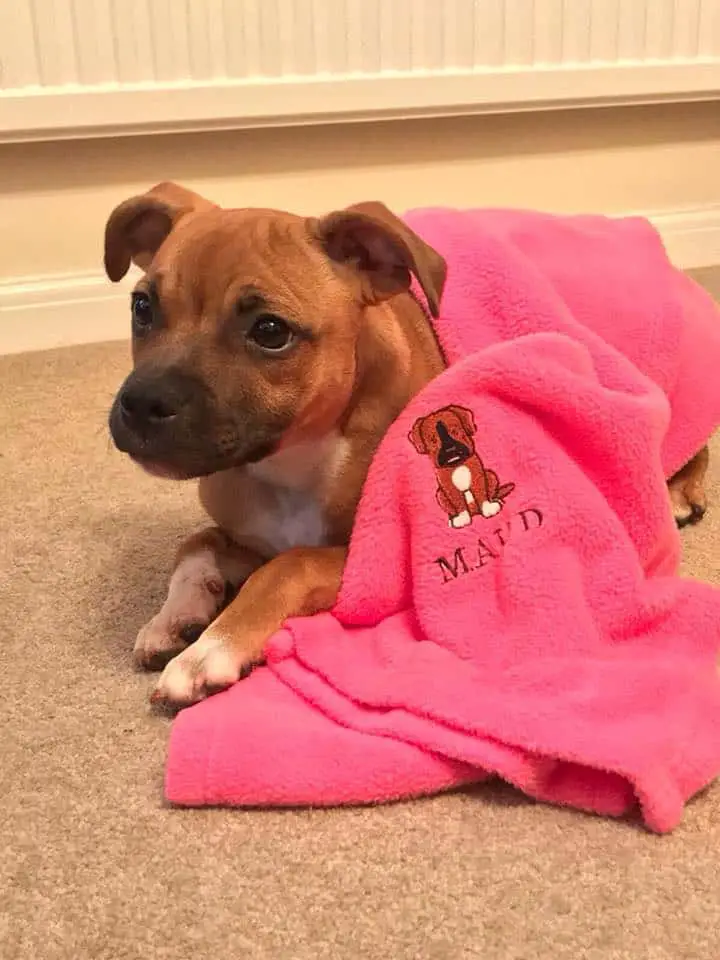 Maud blanket