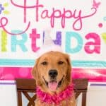 7giftideasfeatured