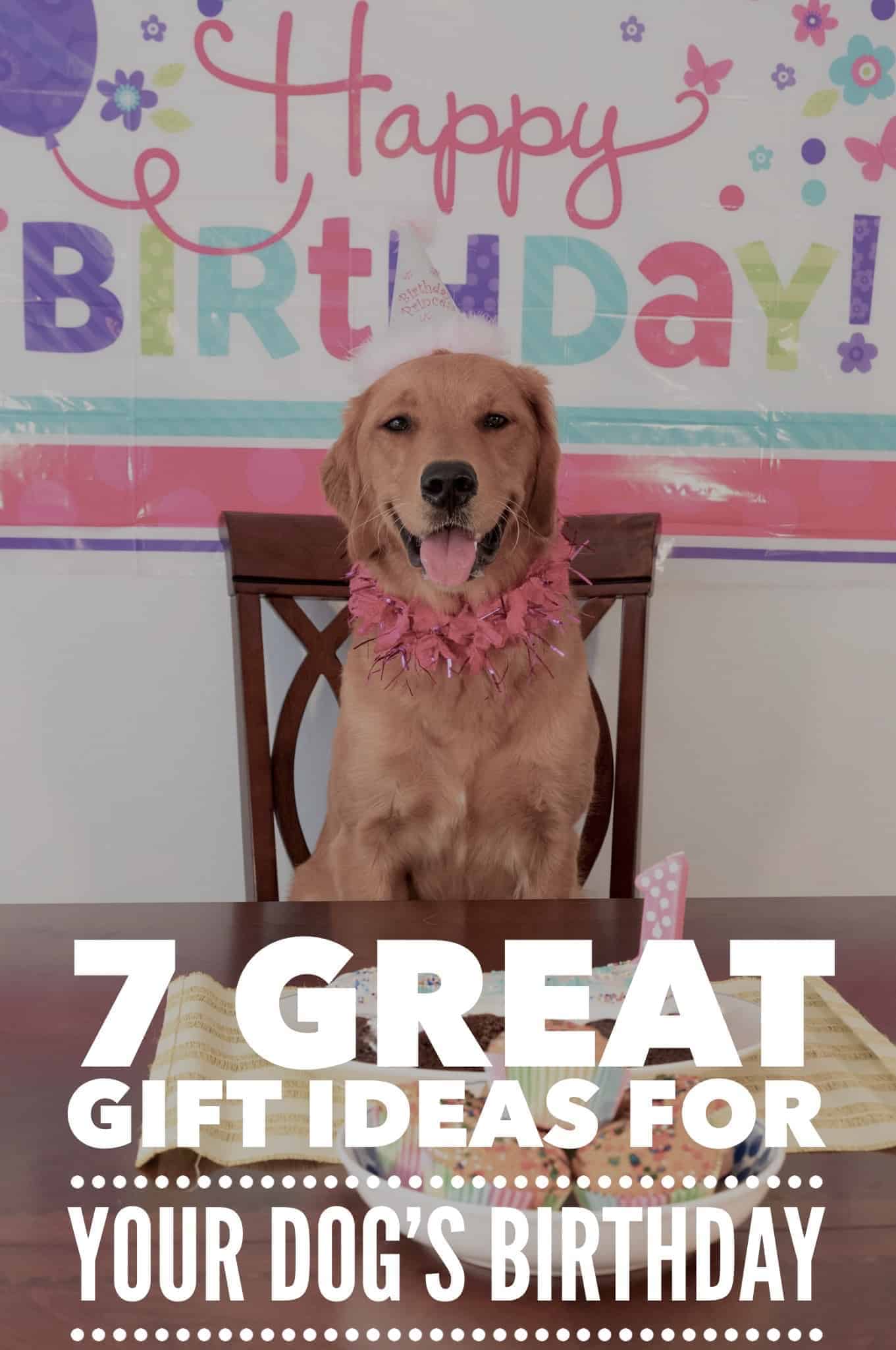 7 Great Gift Ideas For Your Dogs Birthday Ruffle Snuffle Life With Pets