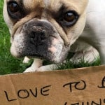barking on cue