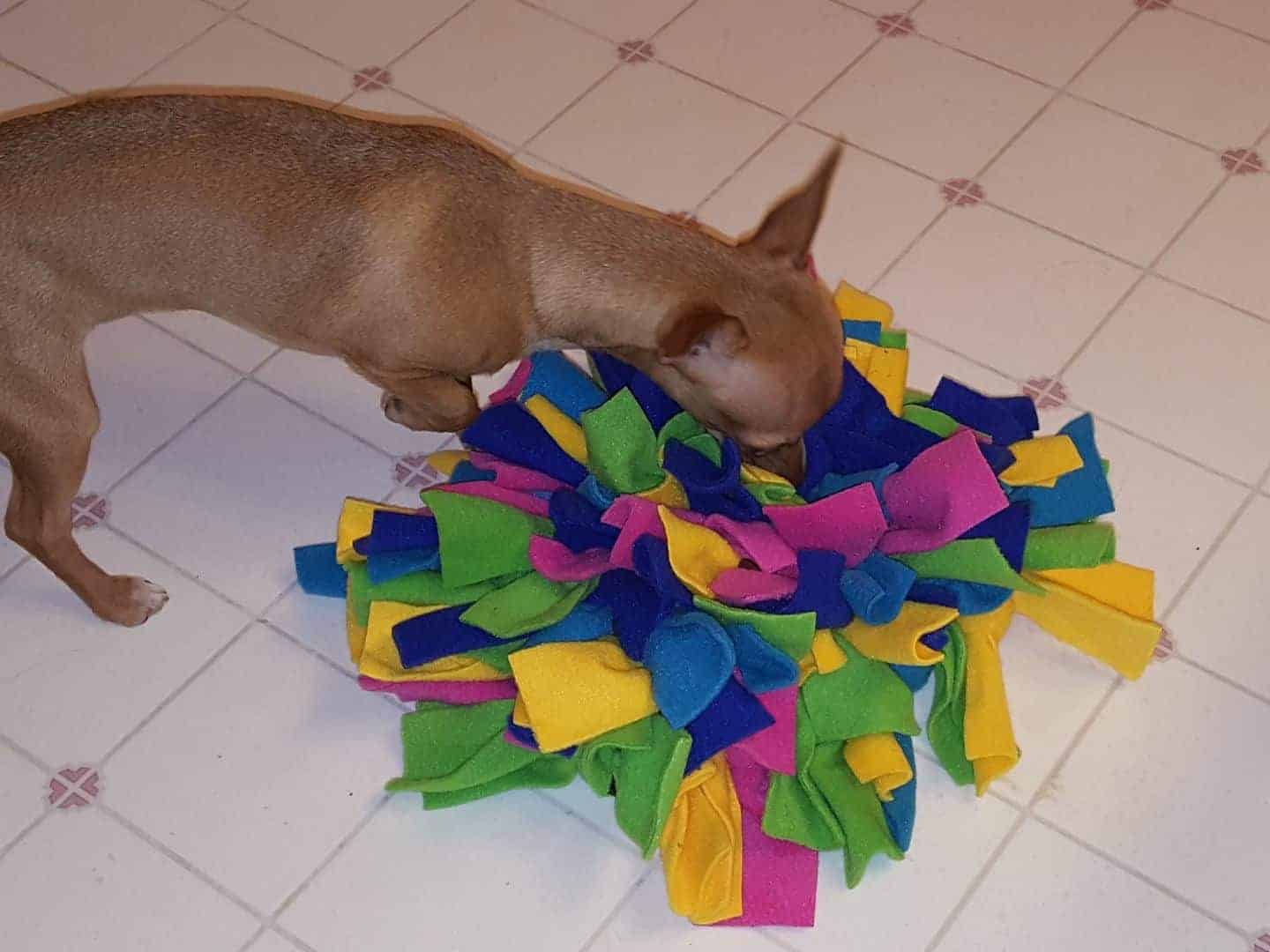 5 Ways to Use a Snuffle Mat With Your Dog: Canine Enrichment Ideas are snuffle mats worth it?