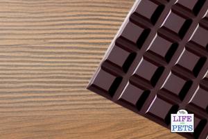 Chocolate Toxicity Calculator : How much chocolate can kill a dog? dark chocolate is poisonous to dogs