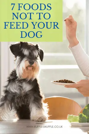 View of 7 Foods To Never Feed Your Dog : Dog Diet • 2026 Ruffle Snuffle