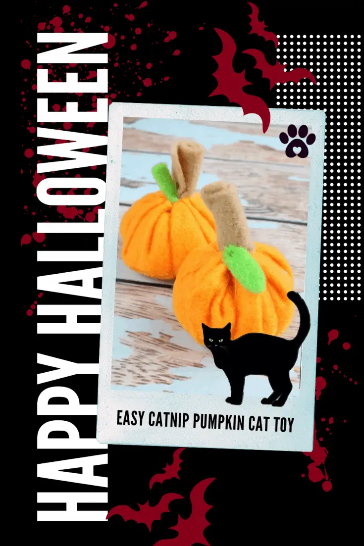 CATNIP PUMPKIN
