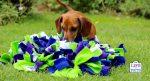 Canine Enrichment Ruffle Snuffle