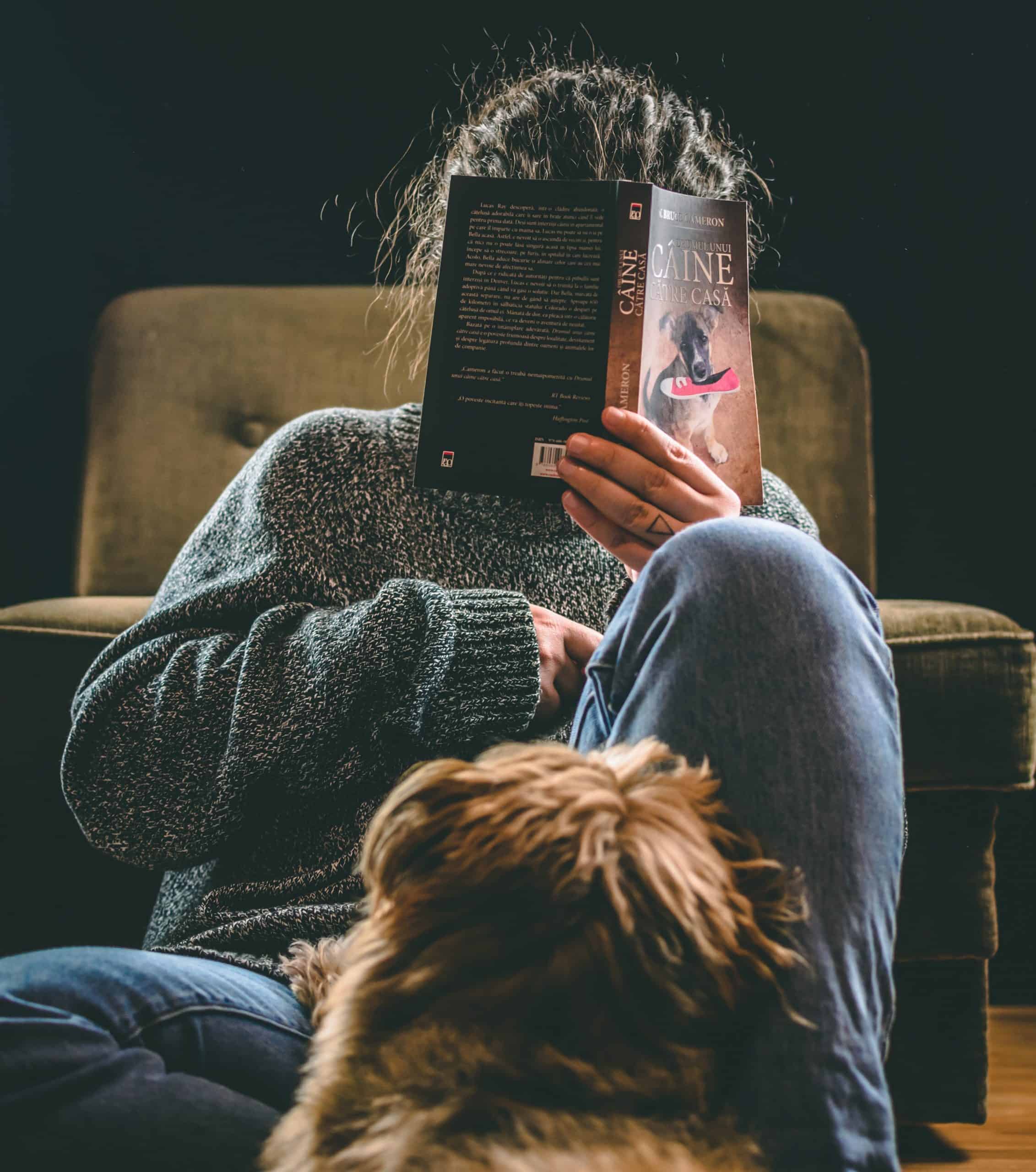 Hygge with your dog