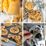 20 Halloween Homemade Dog Treats (1)