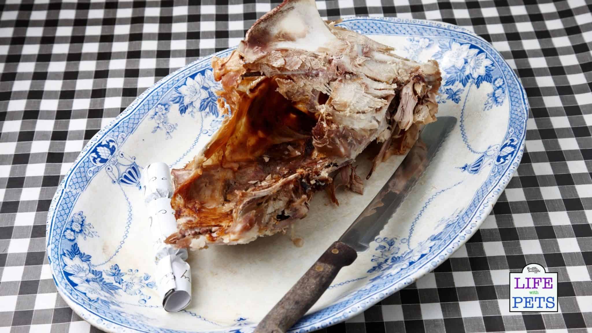 How to use leftover turkey to make bone broth for dogs ( with easy