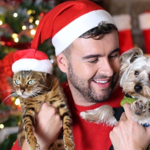 Why won't my dog eat from his bowl? from Ruffle Snuffle's Life with Pets