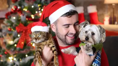Why Are Christmas Trees Dangerous To Cats And Dogs Top Tips For Pet Safety 2021 Ruffle Snuffle