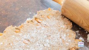 Best ever carrot dog biscuit treats