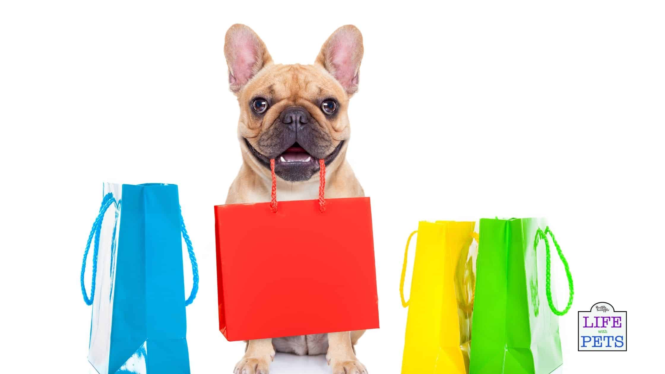 How to shop like a minimalist for you and your dog