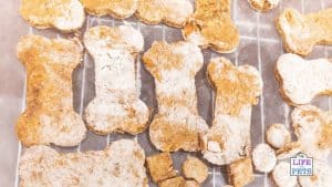 Best ever carrot dog biscuit treats