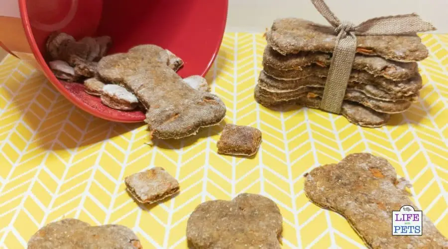 Best ever carrot dog biscuit treats