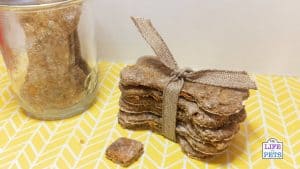Best ever carrot dog biscuit treats