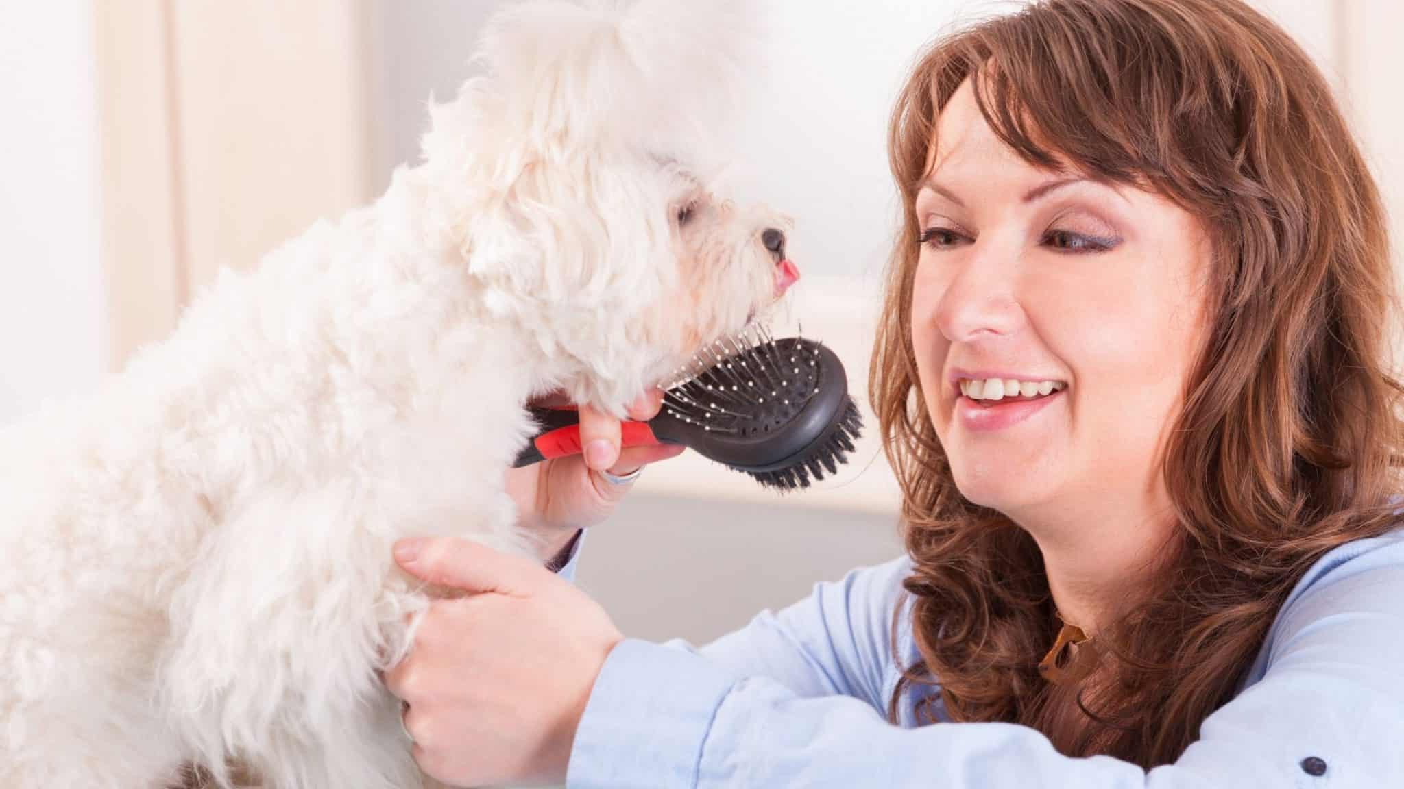 How To Give Your Dog A Haircut At Home • 2023 Ruffle Snuffle