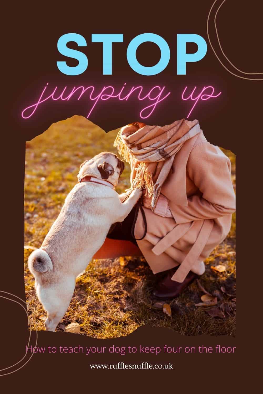 How Can I Stop My Dog Jumping Up On People?