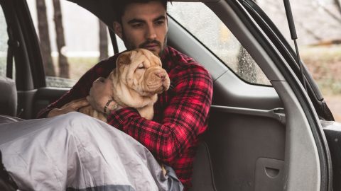 What To Do If Someone Kicks Your Dog • 2025 Ruffle Snuffle