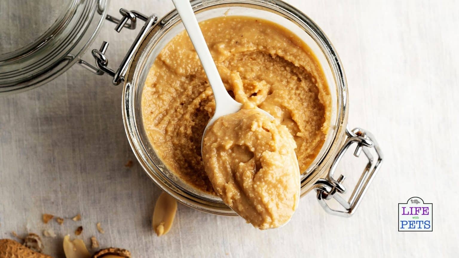 Feeding Peanut Butter to Puppies 7 Important Things To Consider