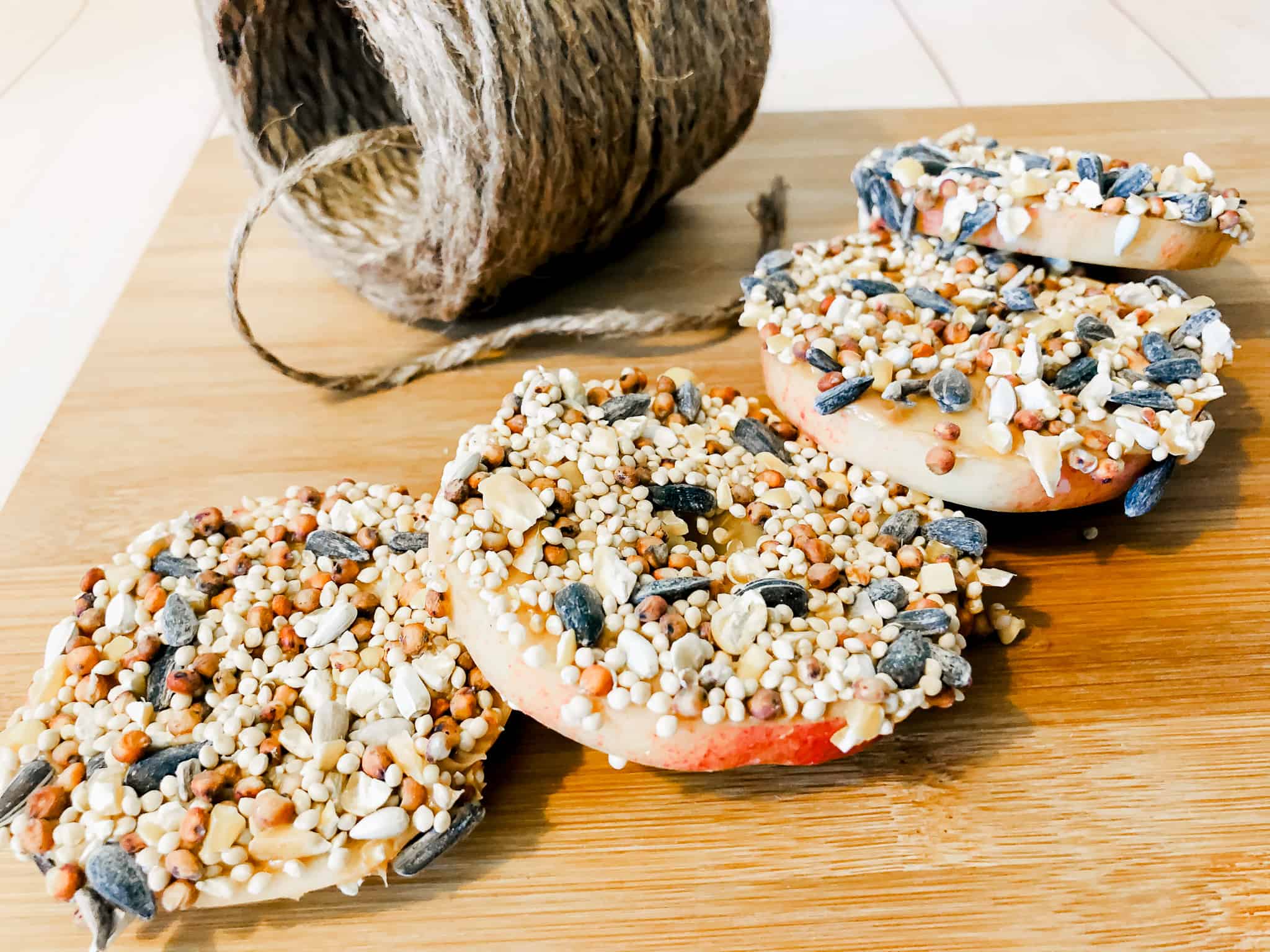 Apple winter bird feeder