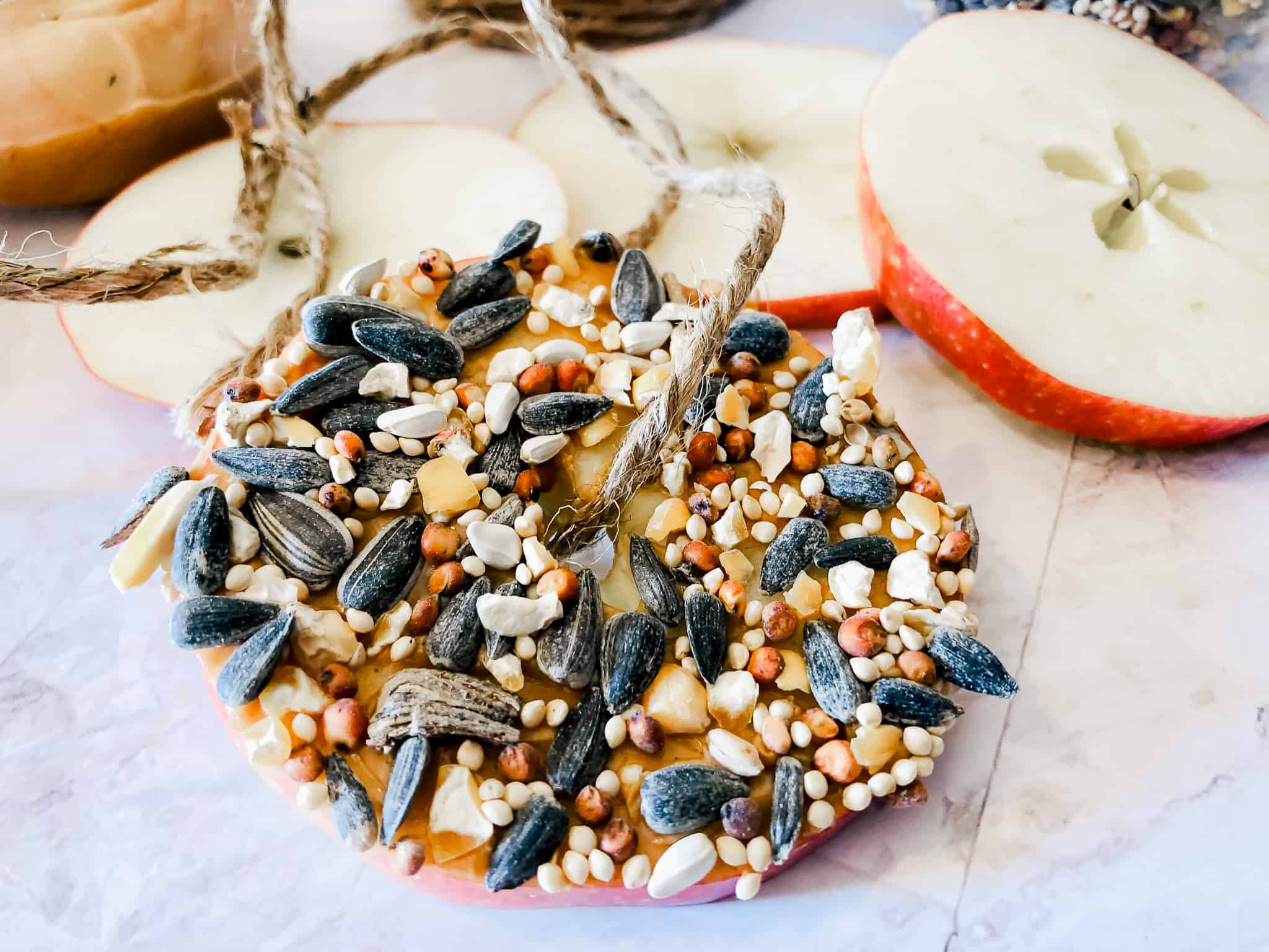 Apple winter bird feeder