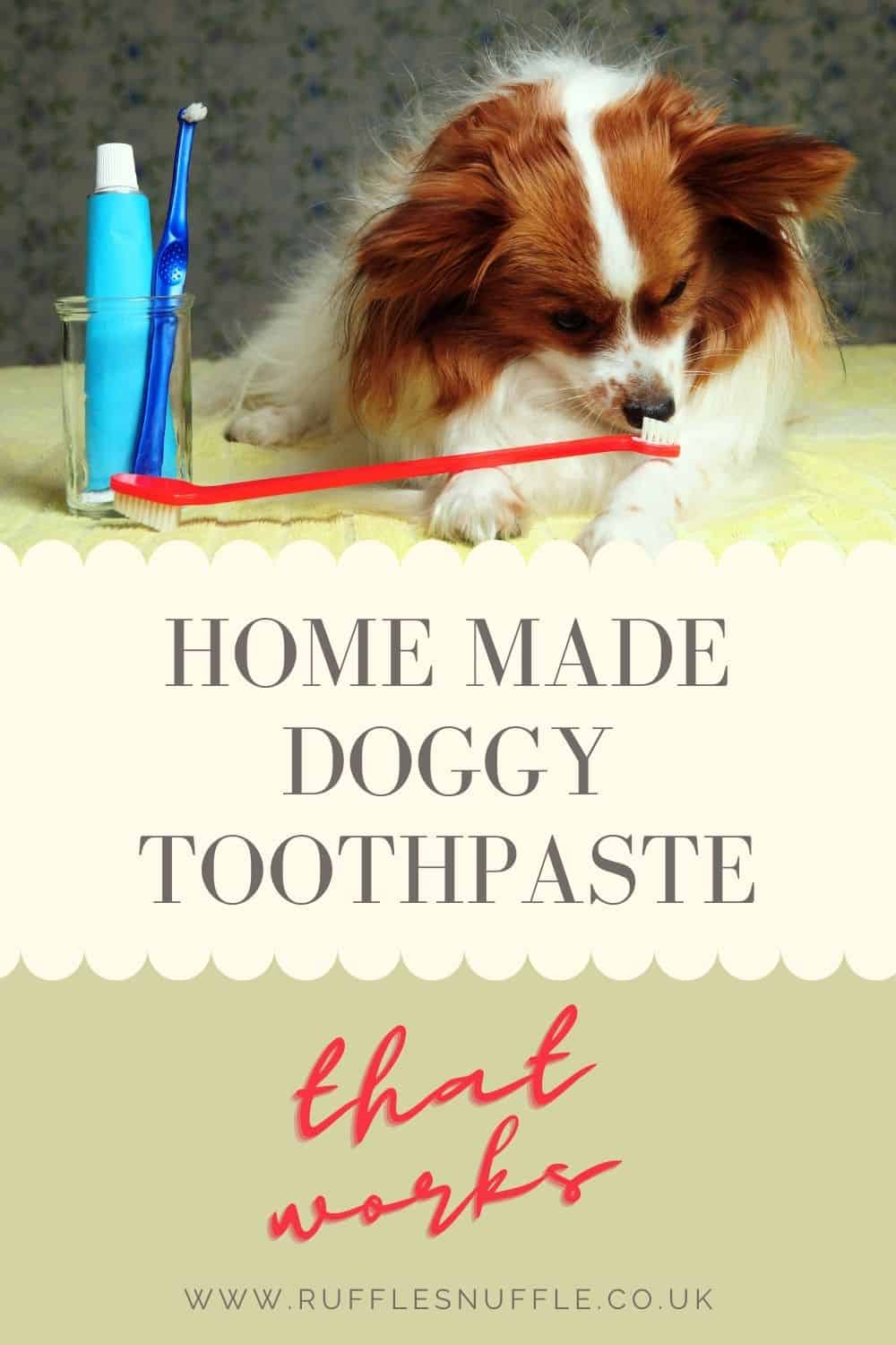 Don’t buy dog toothpaste, do this instead