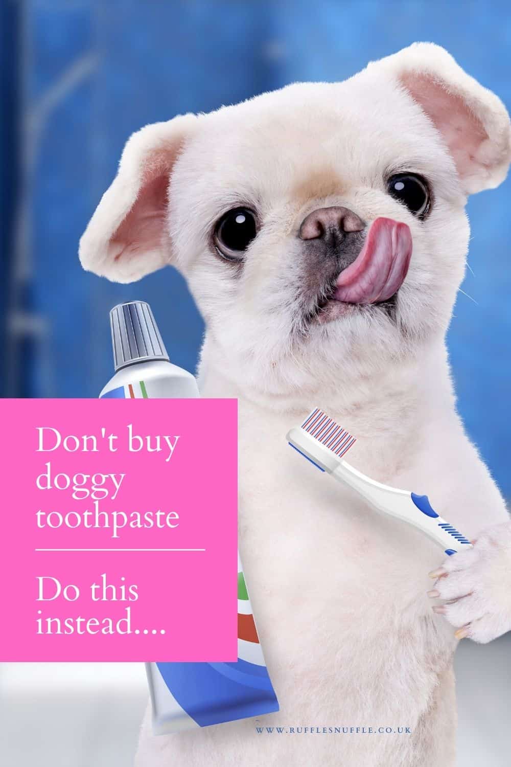 Don’t buy dog toothpaste, do this instead