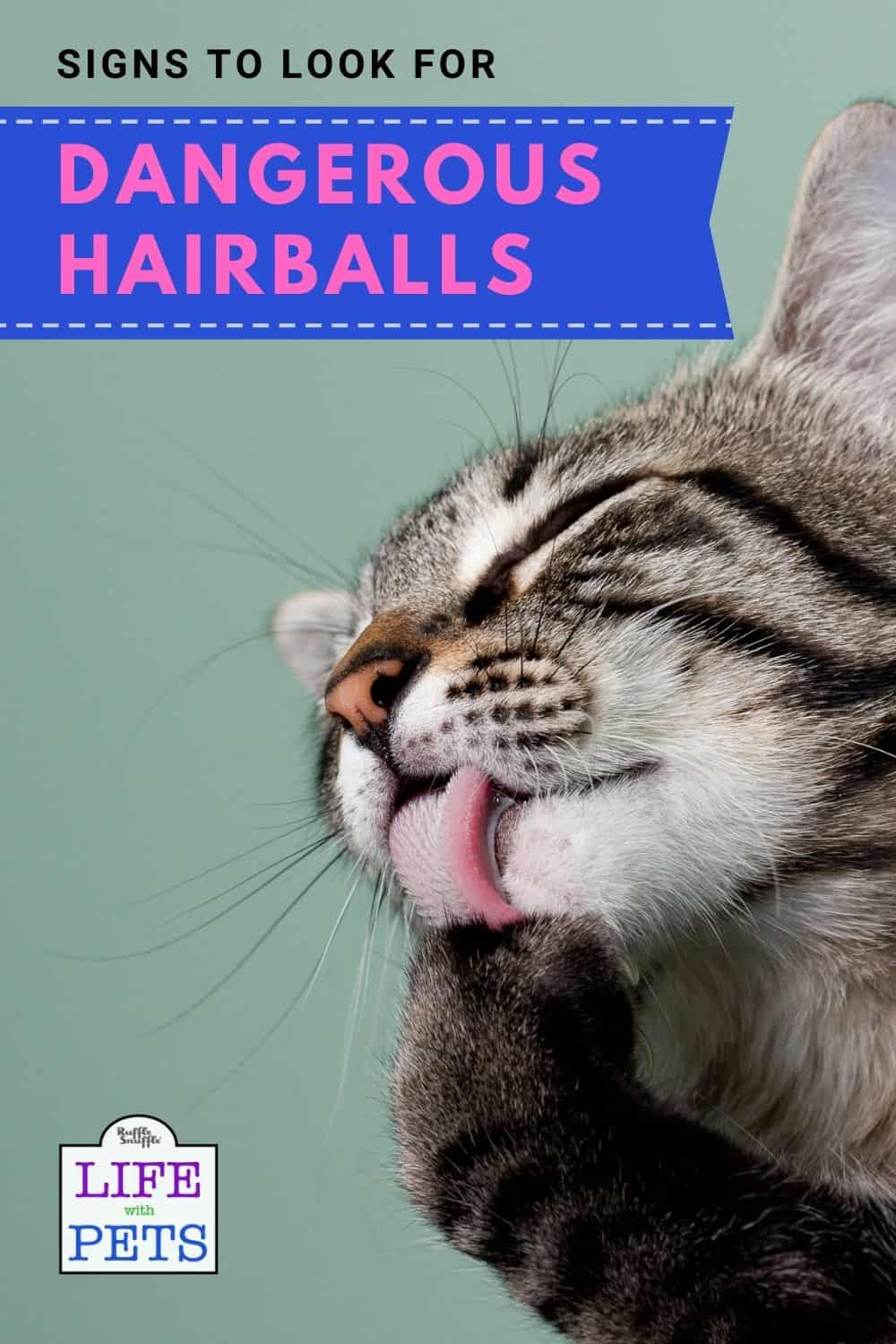 The Danger of Cat Hairballs What You Need to Know