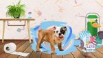 puppy proof your house
