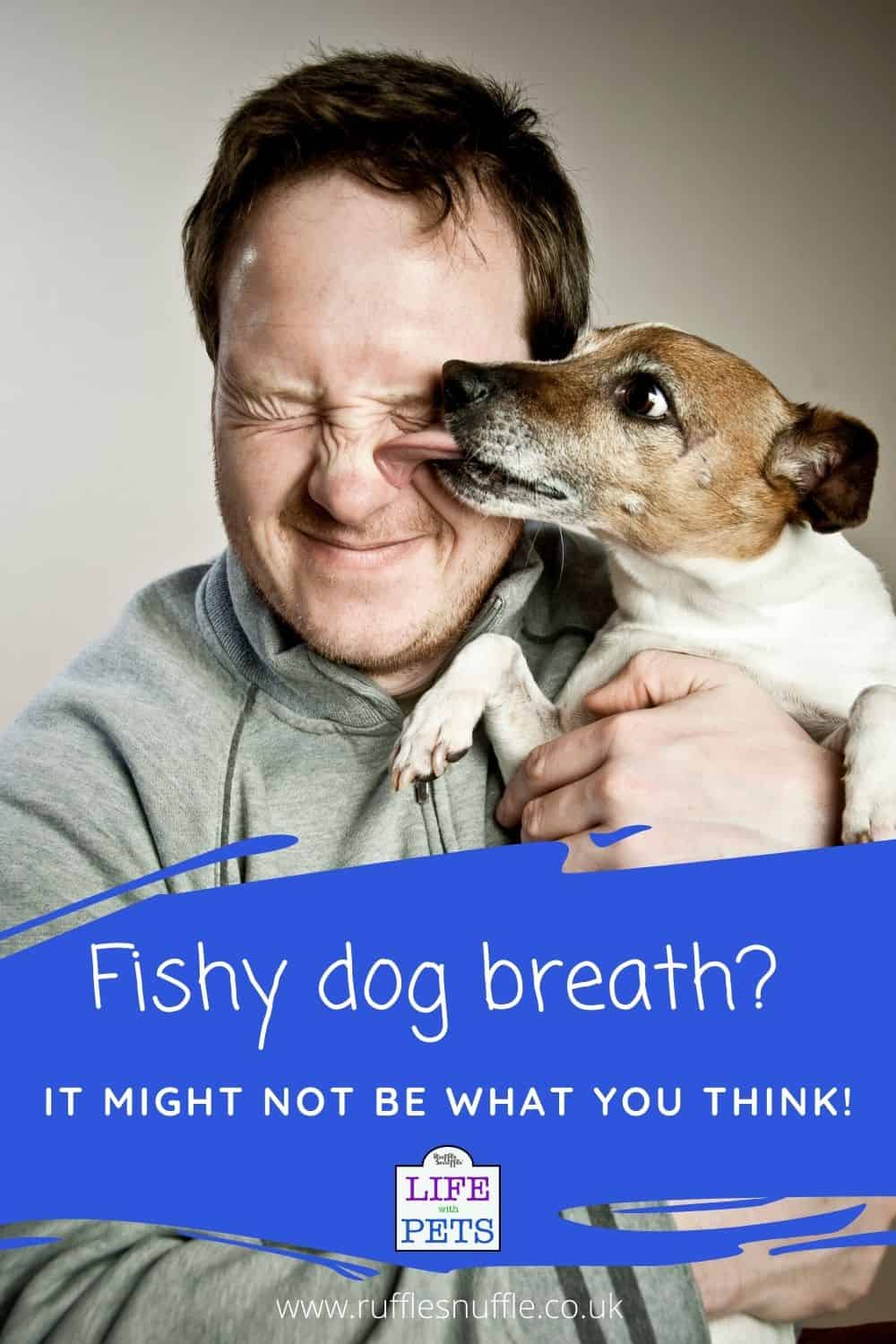 Stinky fish dog breath and how to get rid of it