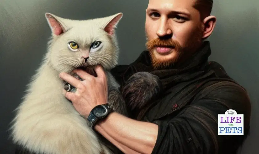 100 Ways to show your cat you love them (3)