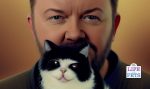 100 Ways to show your cat you love them (4)