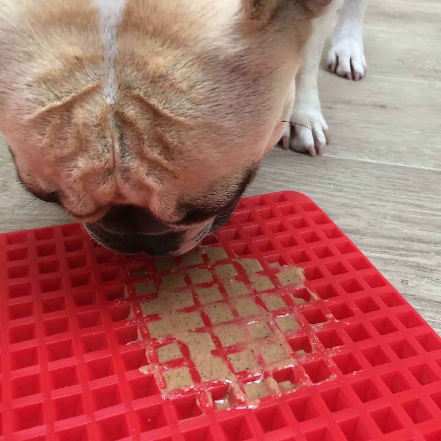 Easy Homemade Lick Mat [and How To Use It] • 2023 Ruffle Snuffle