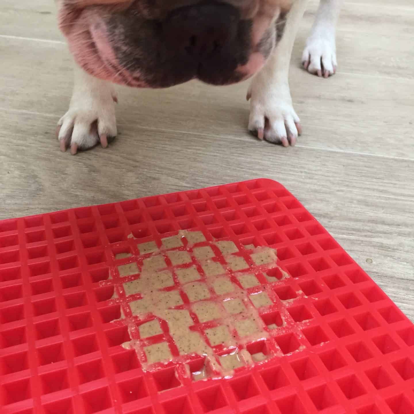 Easy Homemade Lick Mat [and How To Use It] • 2023 Ruffle Snuffle