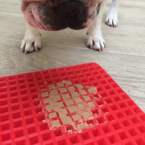 Easy Homemade Lick Mat [and How To Use It] • 2023 Ruffle Snuffle