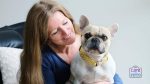 100 ways to show your dog you love them