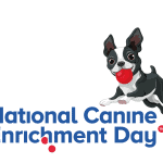 national canine enrichment day