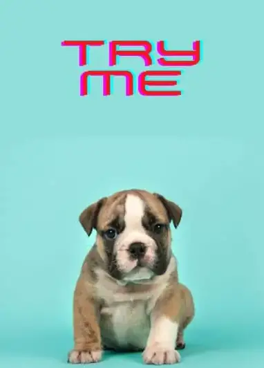 Puppy Dog Name Generator