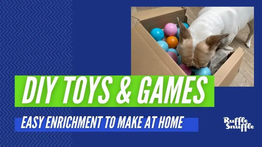 DIY Games FOR DOGS 1220 HEADERS 3