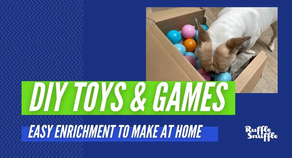 DIY Dog Toys & Games Canine Enrichment • 2023 Ruffle Snuffle