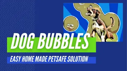 DIY Games FOR DOGS HEADERS