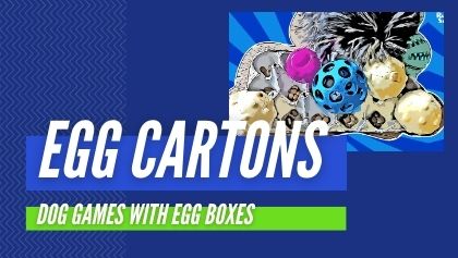 DIY Games FOR DOGS egg cartons