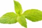 mint
