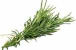 rosemary