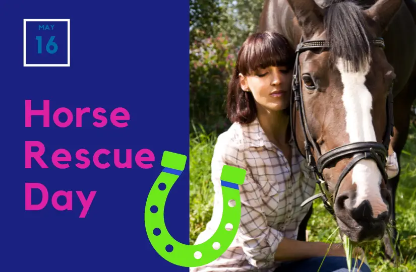 Horse Rescue Day