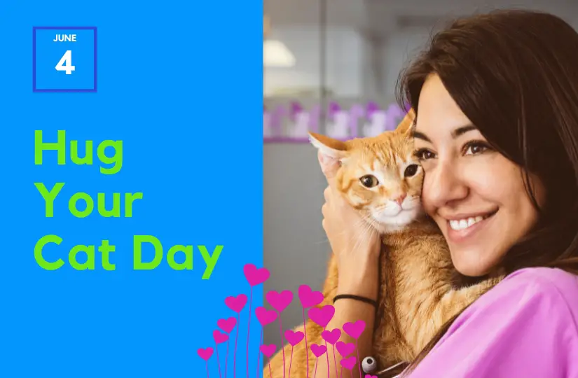 Hug Your Cat Day